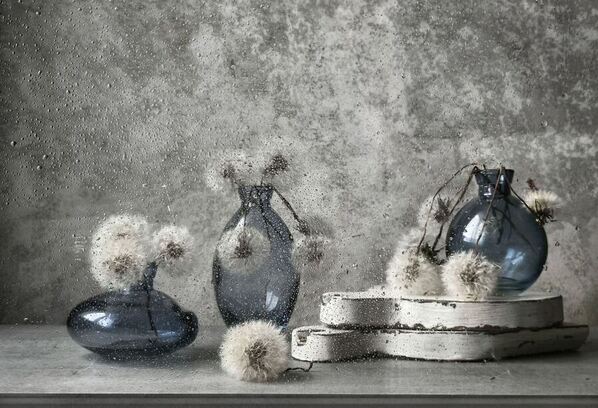 Photograph Olesya Khizhko Still Life on One Eyeland